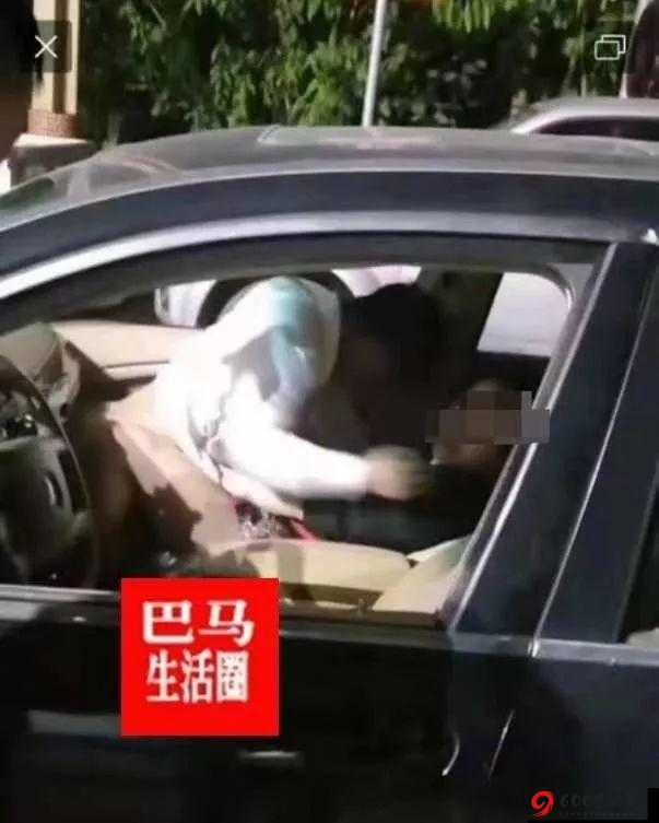 免费看男女做爰爽爽视频 享受极致视觉盛宴