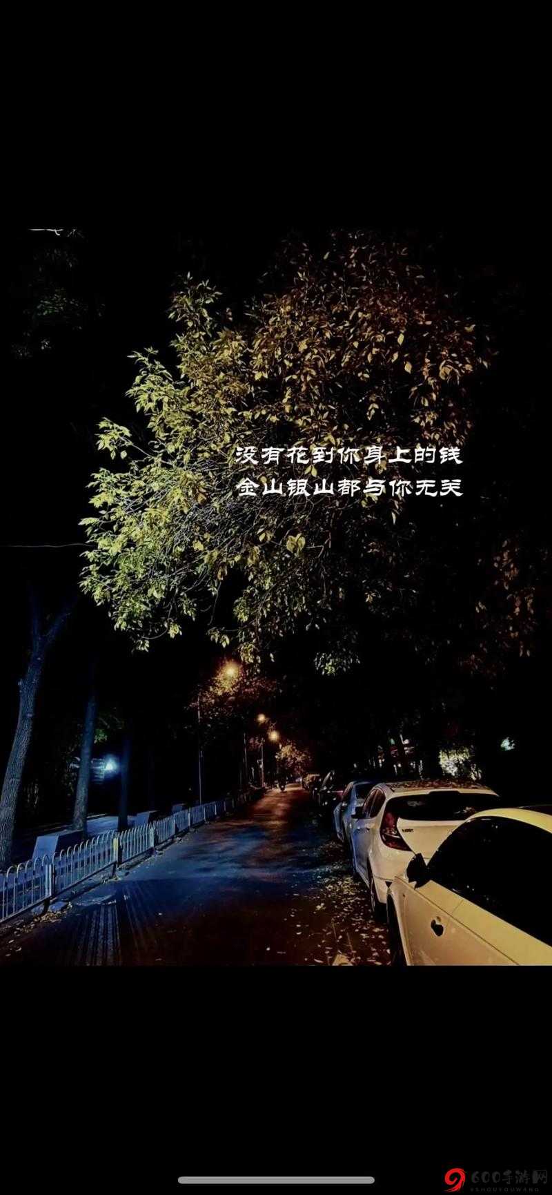 妈妈已经是你的女人了：爱情的禁区与道德的挑战