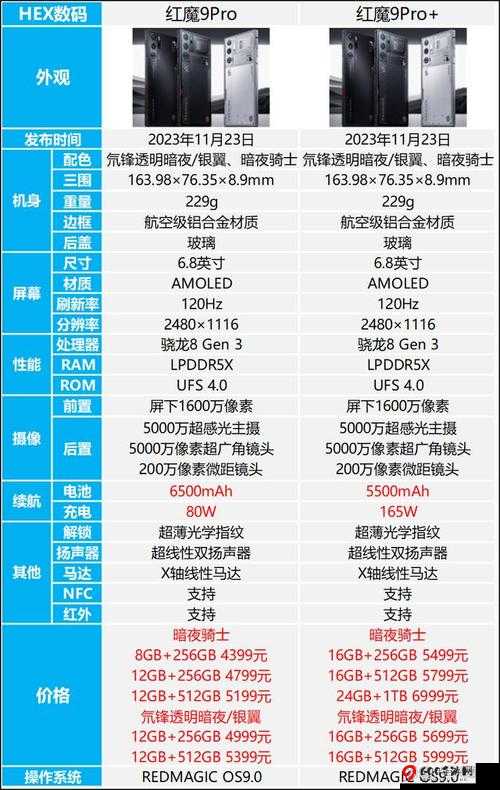 俄罗斯Zoom人与Zoom哪个好：全面比较与选择指南