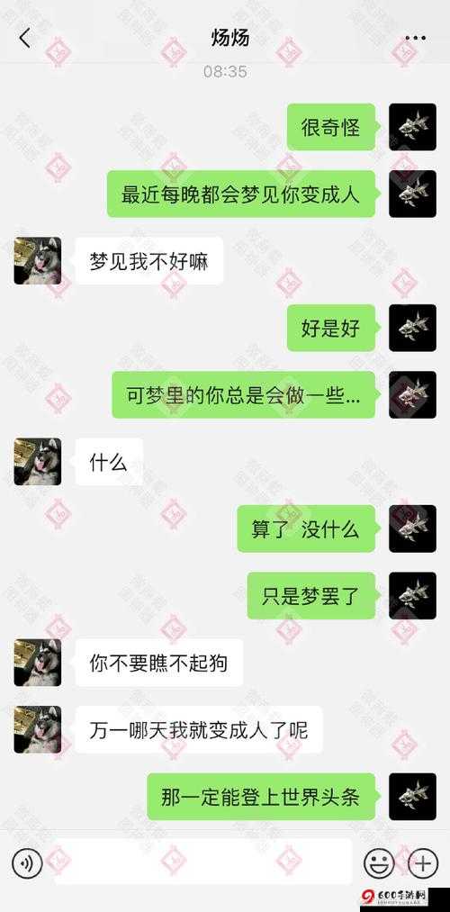 我的男友是条狗第 10 关通关秘籍：详细图文攻略解析