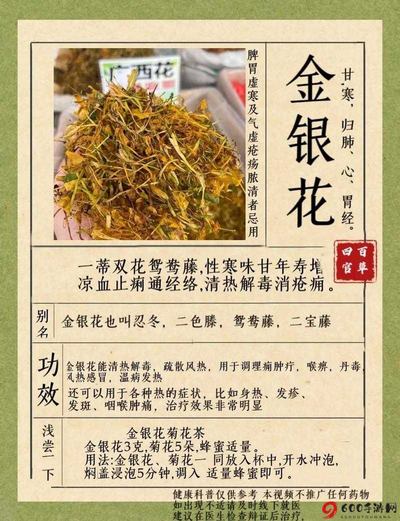 银色器物TXL金银花的材质有何特点及其应用领域