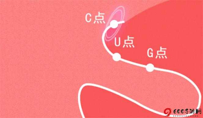 自W到高C的25种方法视频教程：轻松掌握音乐理论与技巧