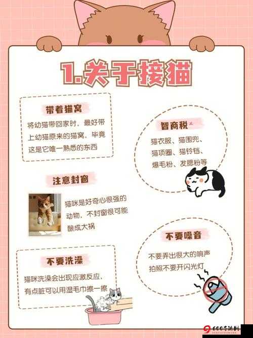 灵猫送礼攻略：好感度提升全解析，轻松俘获猫咪心