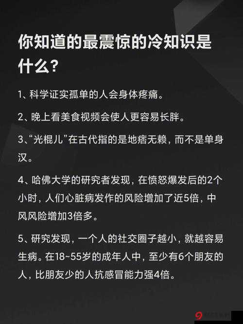 荒野大镖客 2 实用技巧与线上进阶冷知识分享 助你成为西部传奇高手