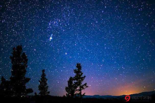 麻花天美星空视频：探索夜空的奇妙旅程