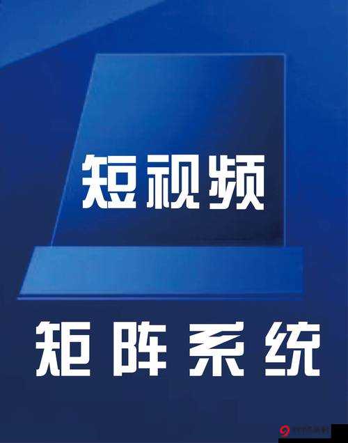 成品短视频app怎么样：功能、体验与市场竞争力