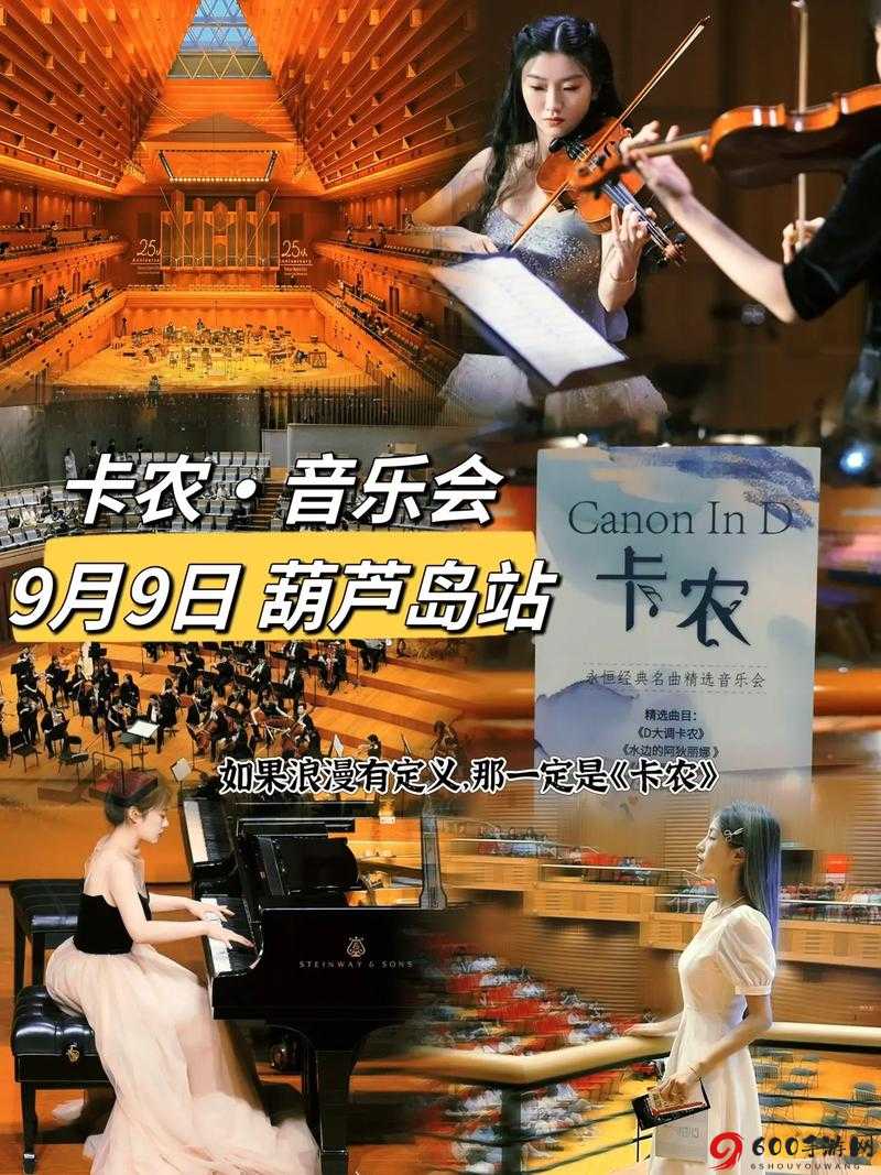 我的朋友她的麦子DJ：音乐的魔法与生活的旋律