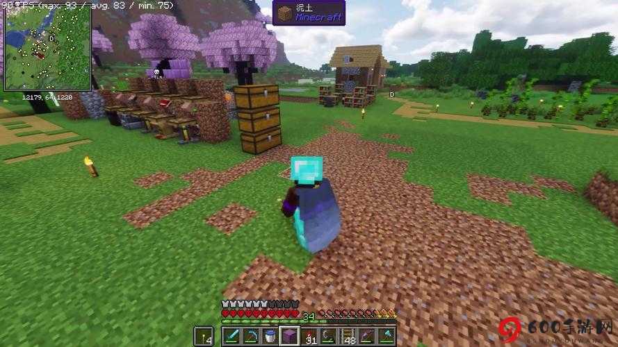 暴躁老外如何玩MINECRAFT：生存模式中的疯狂冒险