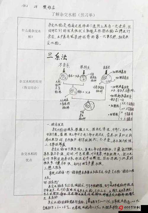 了解杂交BUCSM人类SSBA被爆料完全免费的详细解读