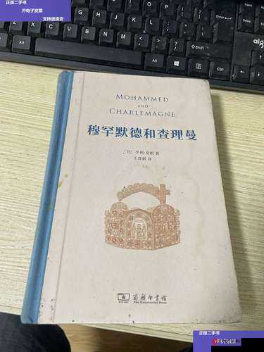 查理曼技能详解与定位分析：查理曼角色用途解析报告