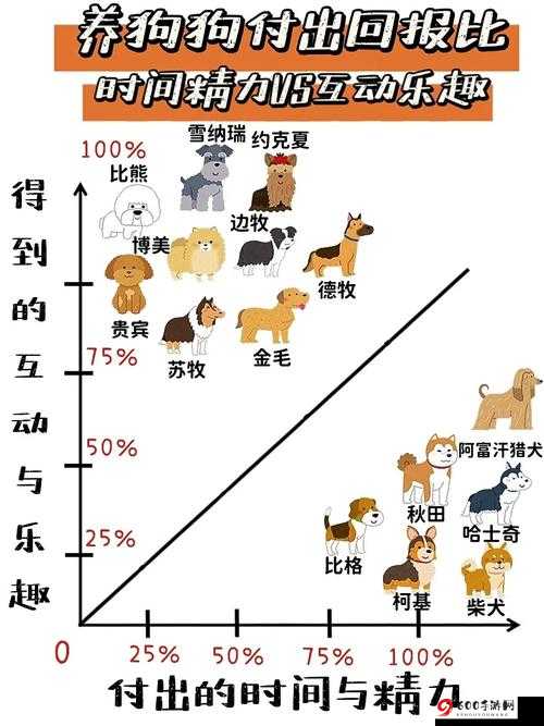 Python人狗：智能宠物与人类的温馨互动