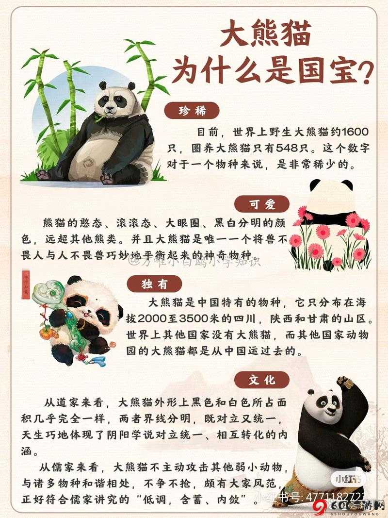 熊猫大师好不好玩 快来了解熊猫大师的详细简介