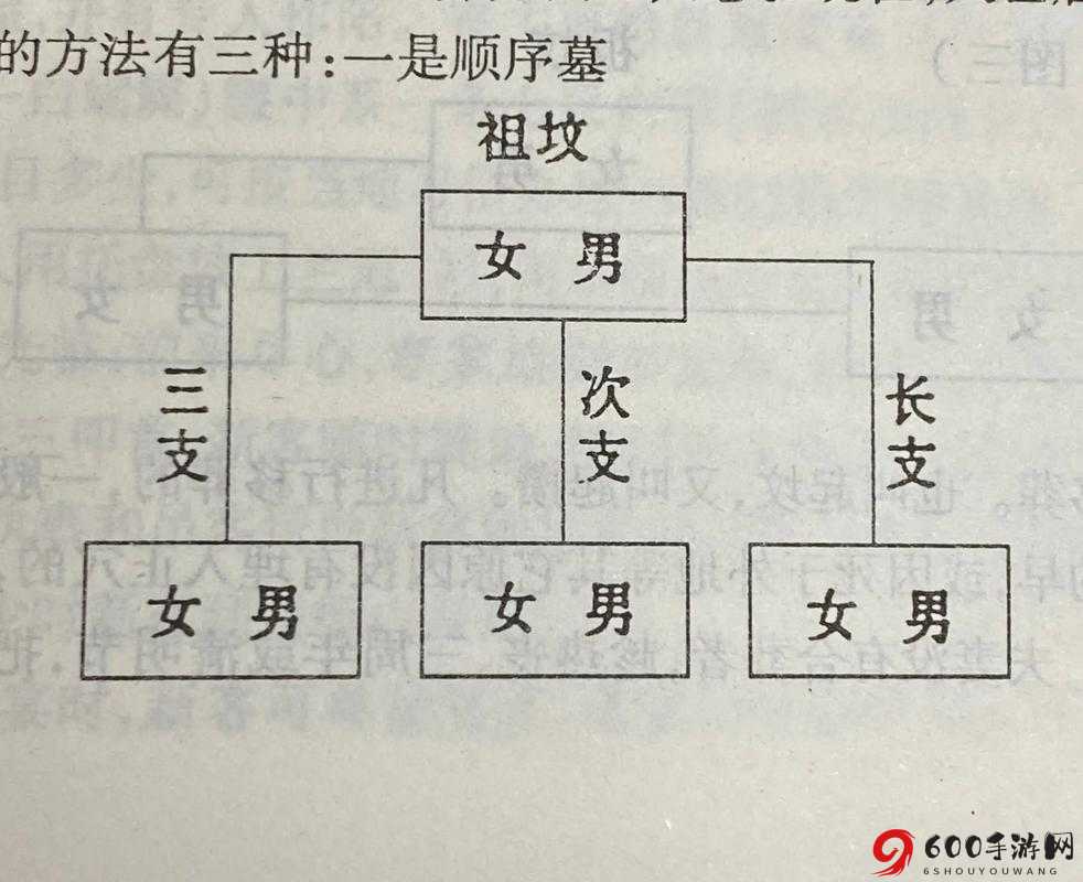 梦江湖修炼指南：顺序与资源利用分享