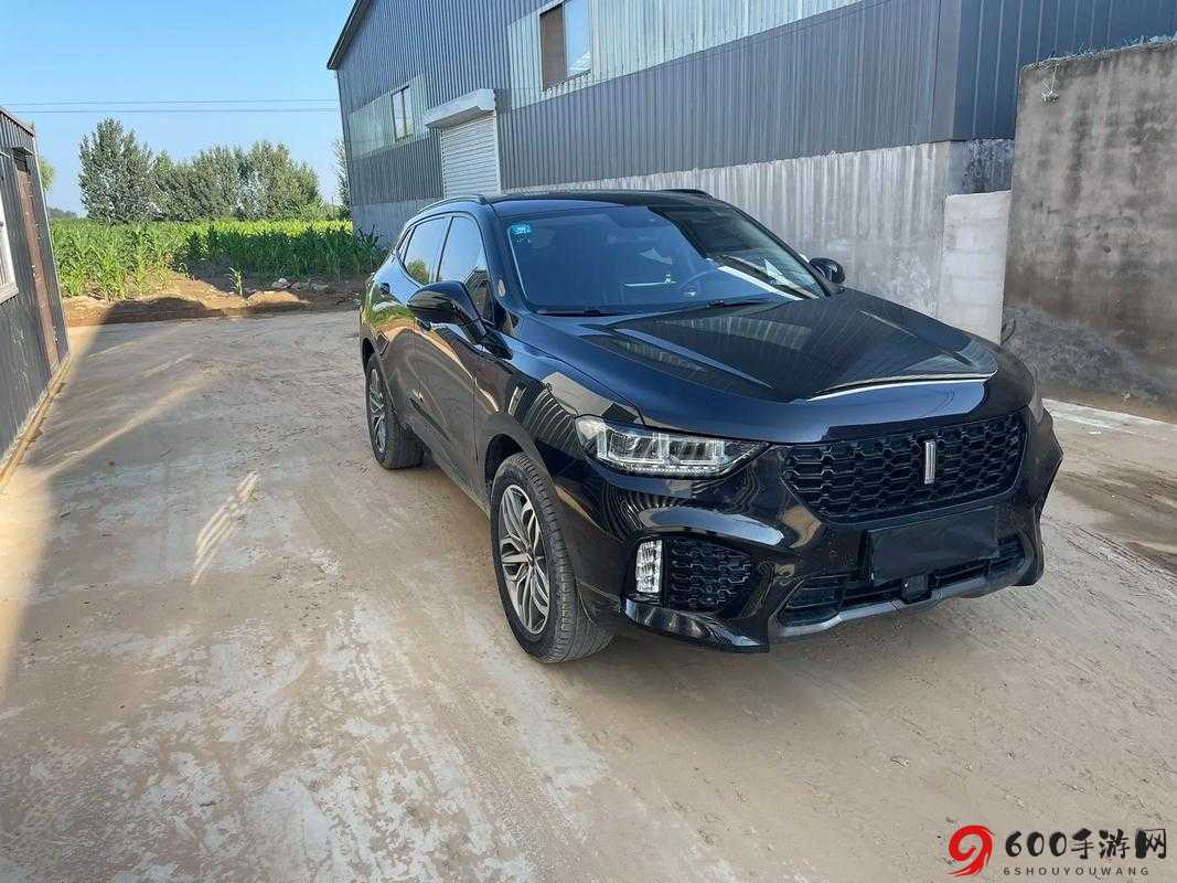 WEY VV5 国产 SUV 卓越品质引领潮流