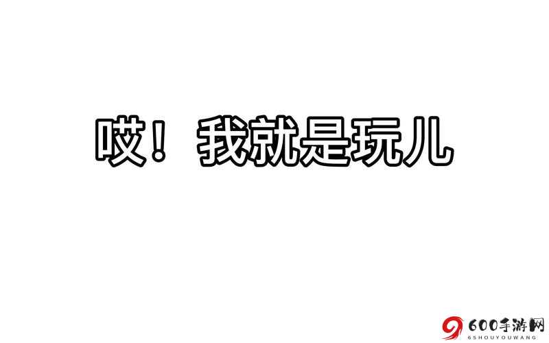 就是玩儿好玩吗？——就是玩儿好玩吗？简介