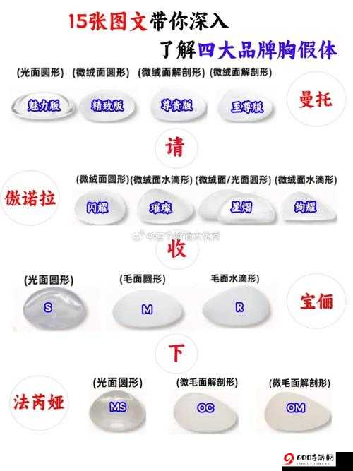 十种 b 型外形：全面解析与展示