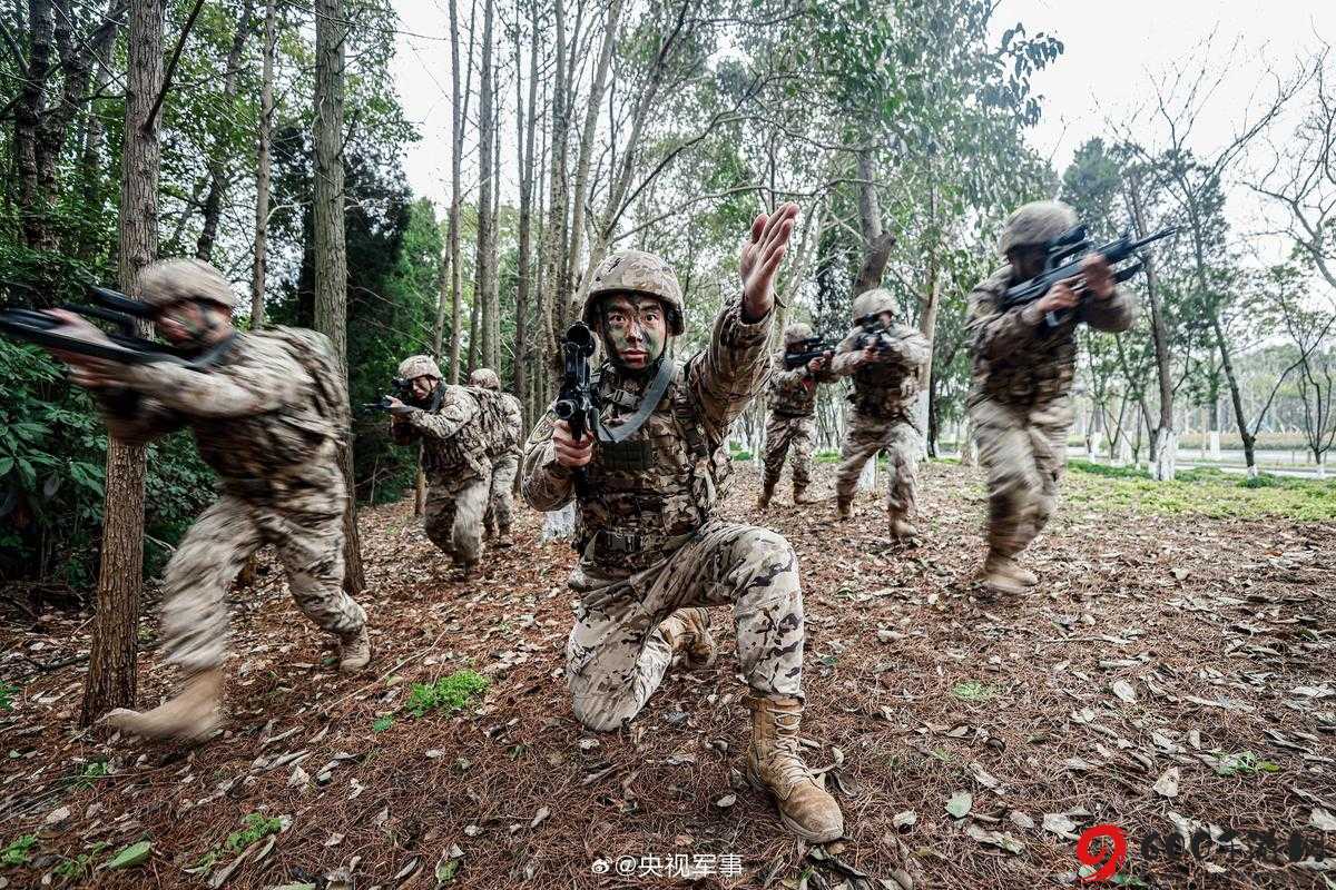 掌握战术小队训练营技巧，轻松通过训练营