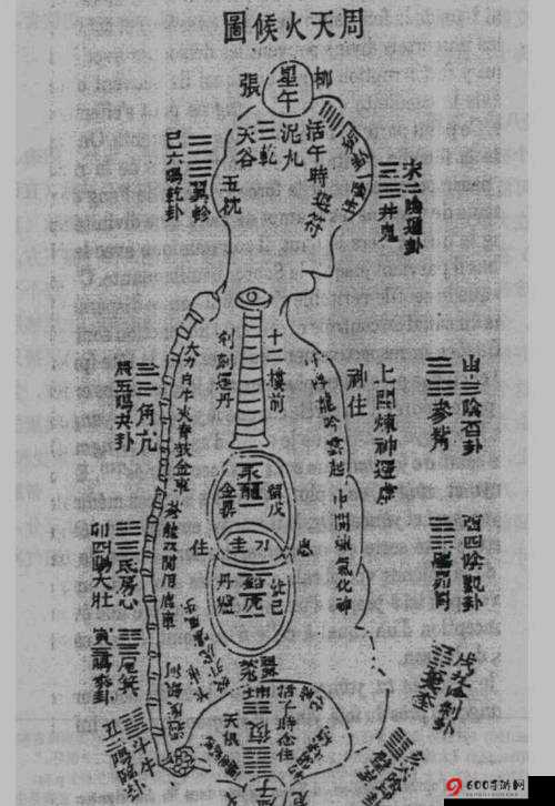 侠道独行：纯阳体之秘用