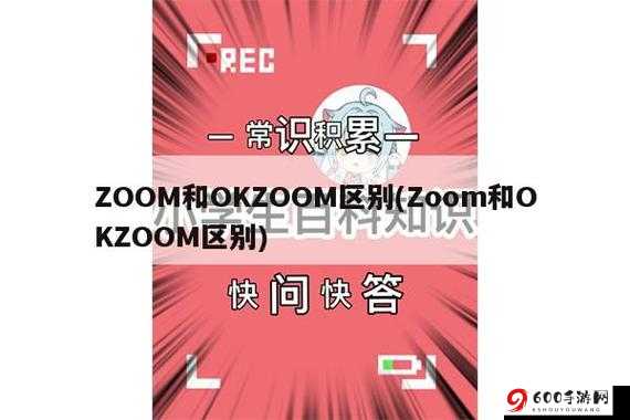 ZOOM 与 OKZOOM：区别何在