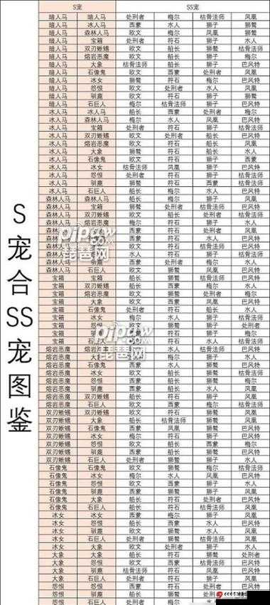 必备：宠物洗练全攻略——培养与玩法详解