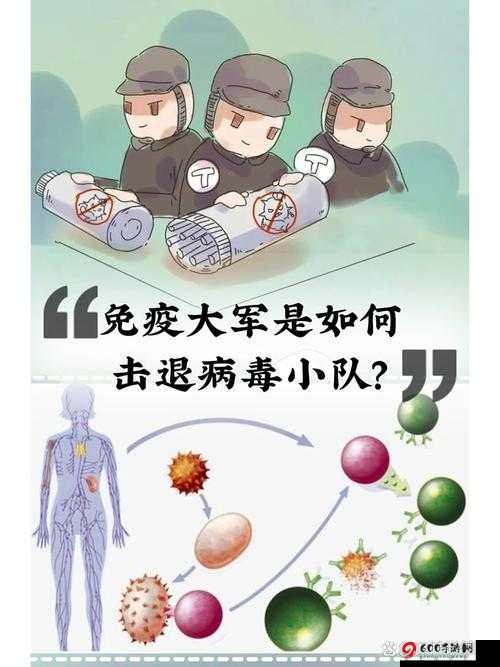 吞噬病毒电脑版：安全下载与安装指南